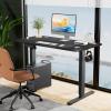 imageStanding Desk Adjustable Height Electric Sit Stand Up Down Computer Table 40x24 Inch Ergonomic Rising Modern Lift Motorized Gaming Desktop Workstation for Work Home Office NaturalBlack