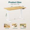 imageStanding Desk Adjustable Height Electric Sit Stand Up Down Computer Table 40x24 Inch Ergonomic Rising Modern Lift Motorized Gaming Desktop Workstation for Work Home Office NaturalNatural