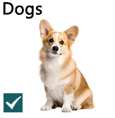Pet Supplies1